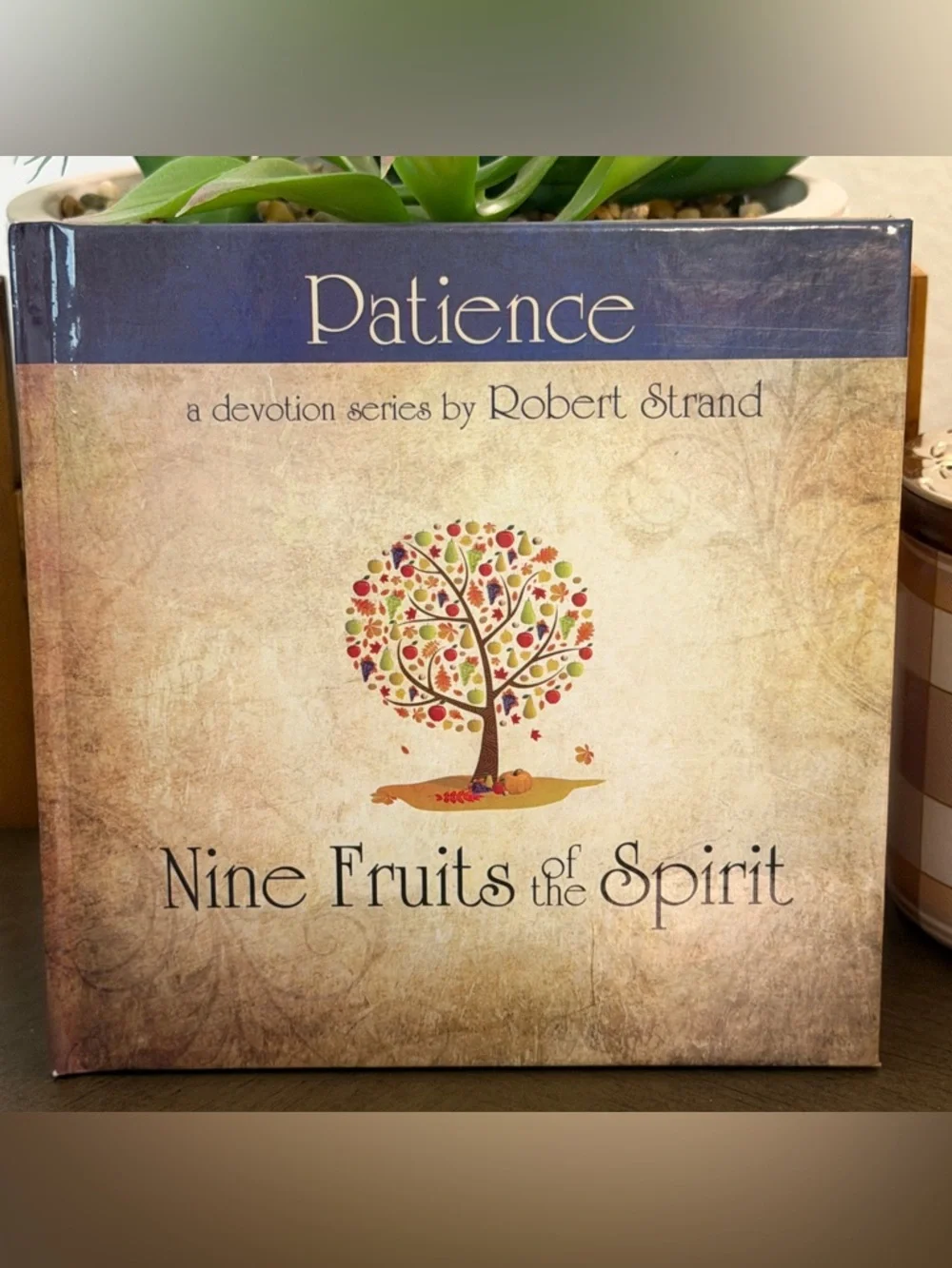 Set of 9 New Fruits Of The Spirit Books